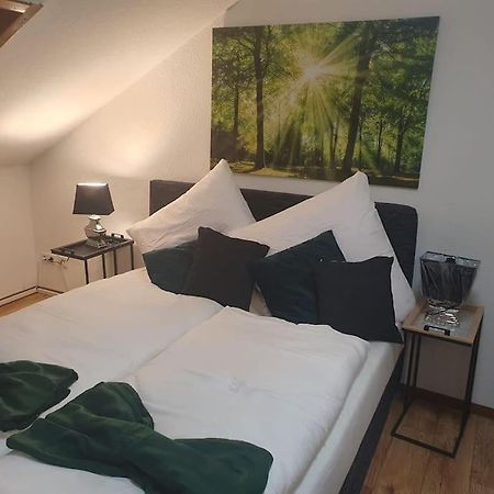 Waterfalls Apartment Triberg im Schwarzwald Zewnętrze zdjęcie