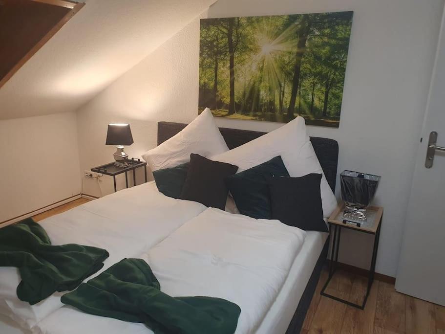 Waterfalls Apartment Triberg im Schwarzwald Zewnętrze zdjęcie